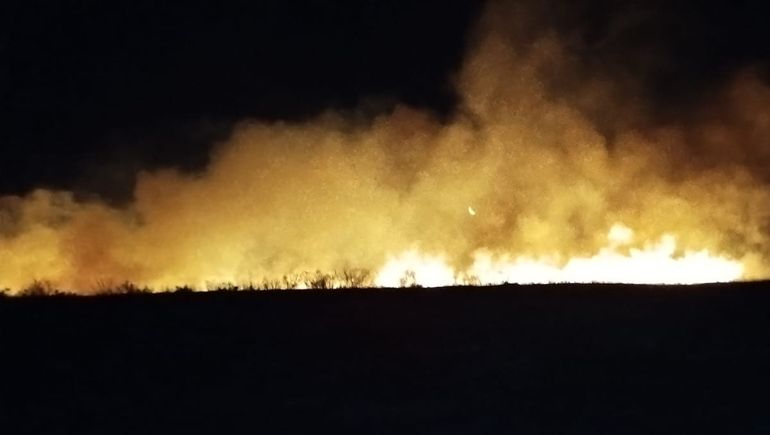 Por el viento, se descontroló un incendio forestal en Senillosa y hay riesgo para viviendas