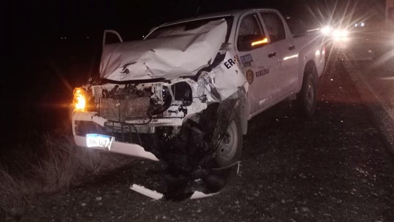 Una camioneta chocó a una yegua que cruzó la Ruta 17