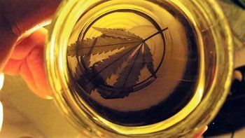 cannabis-aceite.jpg