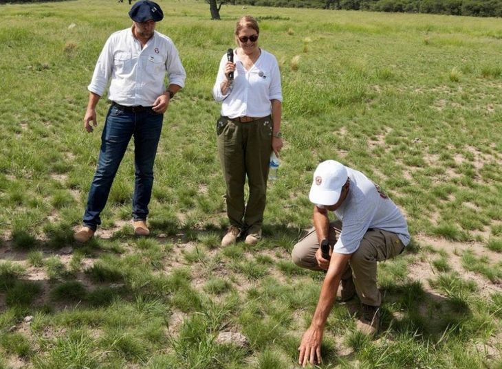WCS Argentina asesora en más de 30 mil hectáreas del caldenal para certificar carne y cuero como Amigable con la Vida Silvestre y elevar valor de mercado hasta 20%. Foto: WCS