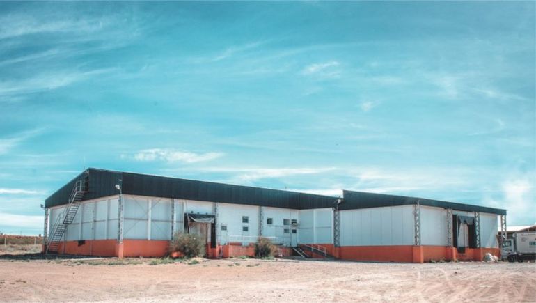 Robaron tres lechones y casi los faenan en el mismo lugar