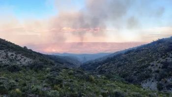 neuquen endurece multas por incendios: conoce los nuevos valores neuquen endurece multas por incendios: conoce los nuevos valores