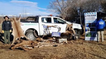 desbarataron una banda de caza furtiva que actuaba en la provincia