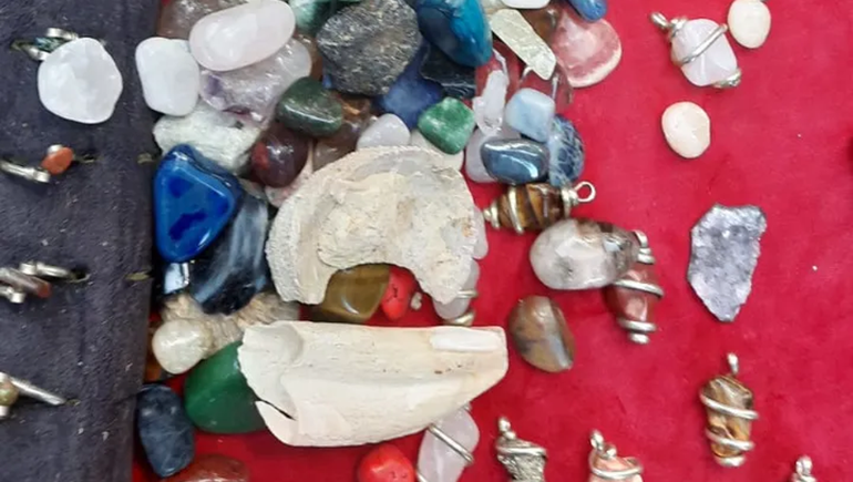 Secuestraron restos fósiles que se vendían en la Feria de los Artesanos