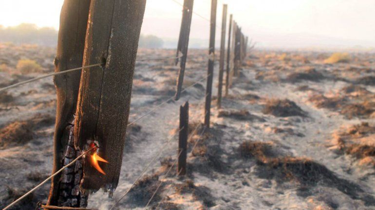 El incendio en Junín está descontrolado
