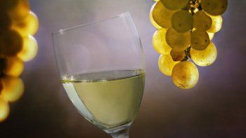 siete razones para elegir los mejores blancos siete razones para elegir los mejores blancos