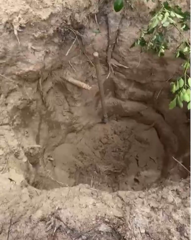 Pánico: a los hombres secuestrados en Brasil los obligaron a cavar su propia foza. Pánico: a los hombres secuestrados en Brasil los obligaron a cavar su propia foza.