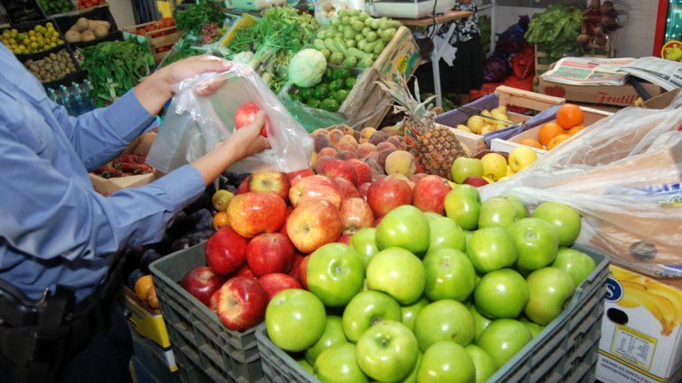 Quieren llevar la fruta del valle a todas las escuelas del país