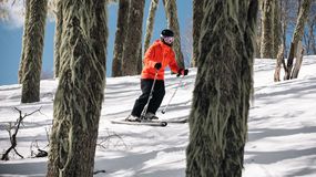 Chapelco: un acuerdo destraba obras clave para la temporada de nieve