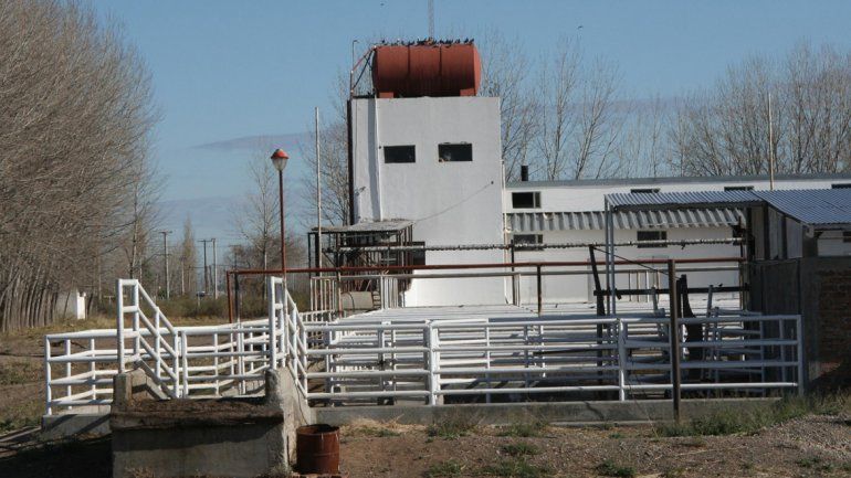 Inversión. El matadero fue adquirido el año pasado en $4