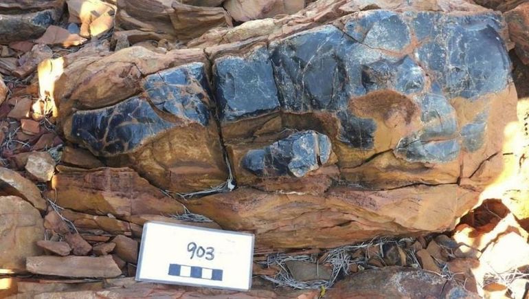 La ciencia revela que la vida empezó antes de lo pensado