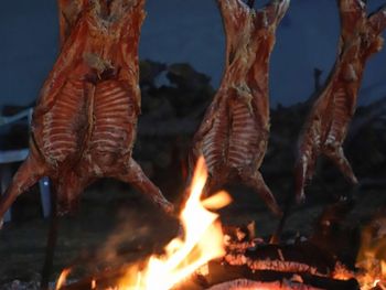 La denominación de origen se da gracias a los métodos naturales de cría y alimentación sin agroquímicos. Foto: secretaría de Producción.