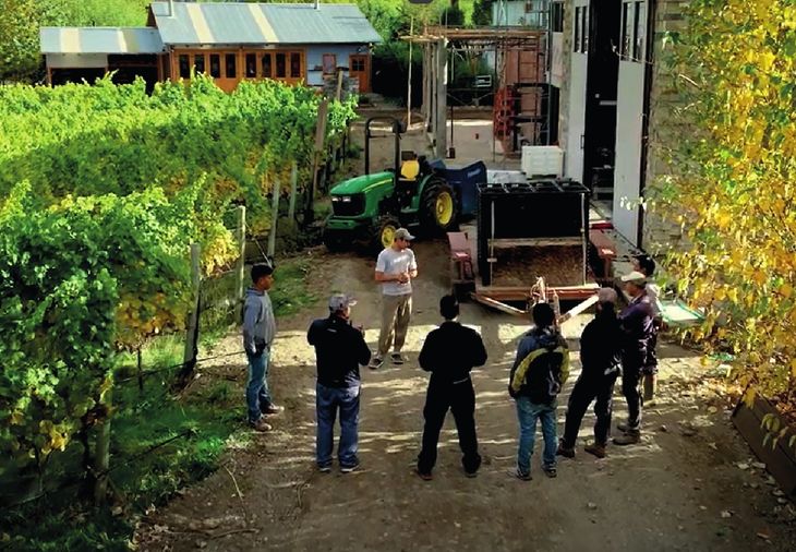 La primera cosecha: En 2016 lograron embotellar las primeras 300 botellas de Pinot Noir en El Bolsón. La primera cosecha: En 2016 lograron embotellar las primeras 300 botellas de Pinot Noir en El Bolsón.