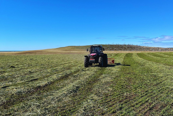 Buscan aumentar la producción de pasturas perennes y verdeos para la producción de reservas forrajeras. Foto: INTA. Buscan aumentar la producción de pasturas perennes y verdeos para la producción de reservas forrajeras. Foto: INTA.