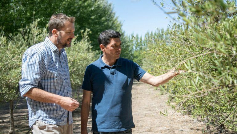 Koopmann: Potenciar la agroindustria es una gran oportunidad para el progreso neuquino