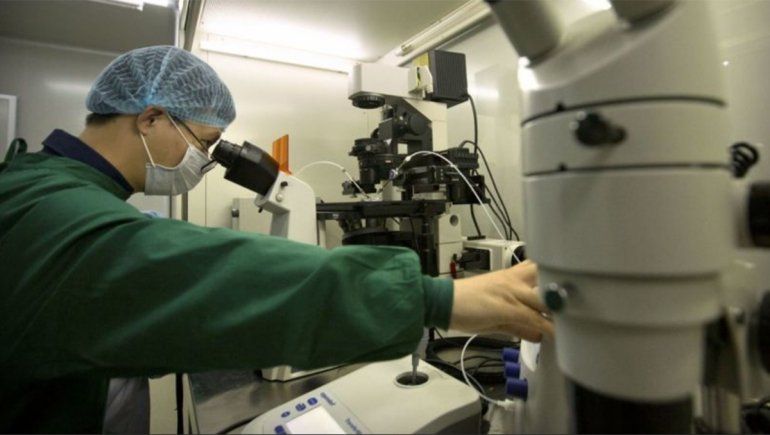 Genetistas logran revertir efectos de un cáncer infantil