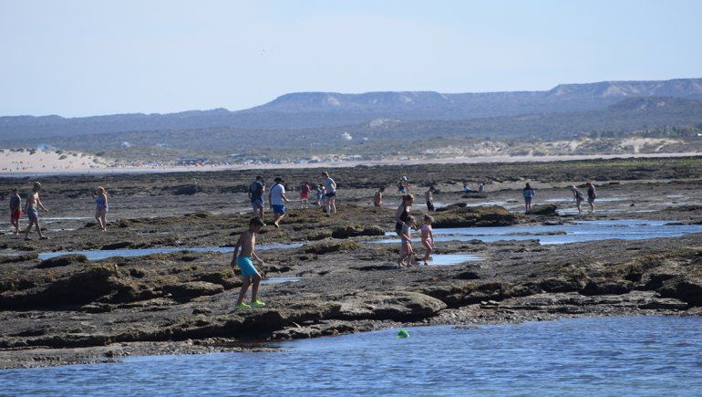 Las restingas de Las Grutas, un mundo a explorar