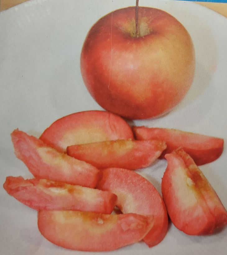 Las variedades de pulpa roja tiende a presentar un producto alternativo a las tradicionales. Las variedades de pulpa roja tiende a presentar un producto alternativo a las tradicionales.