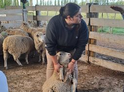 Educación y producción: el entusiasmo de los chicos que sueñan con ser veterinarios. Educación y producción: el entusiasmo de los chicos que sueñan con ser veterinarios.