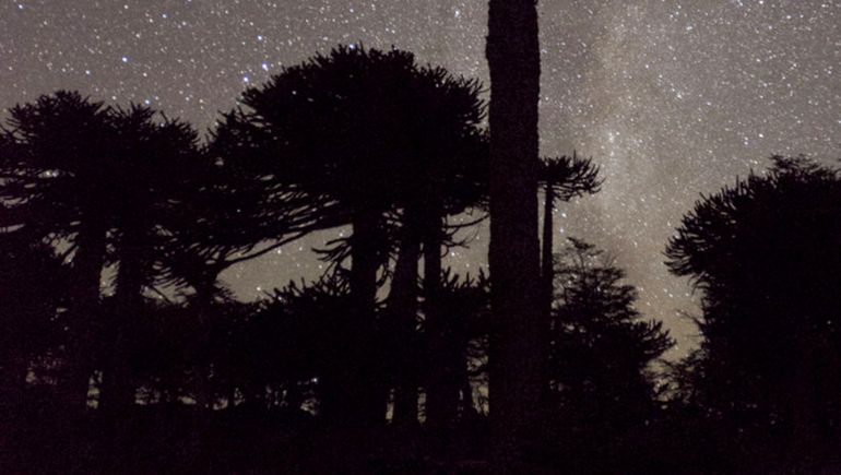 Experiencia única en Primeros Pinos: caminata nocturna y noches en iglú