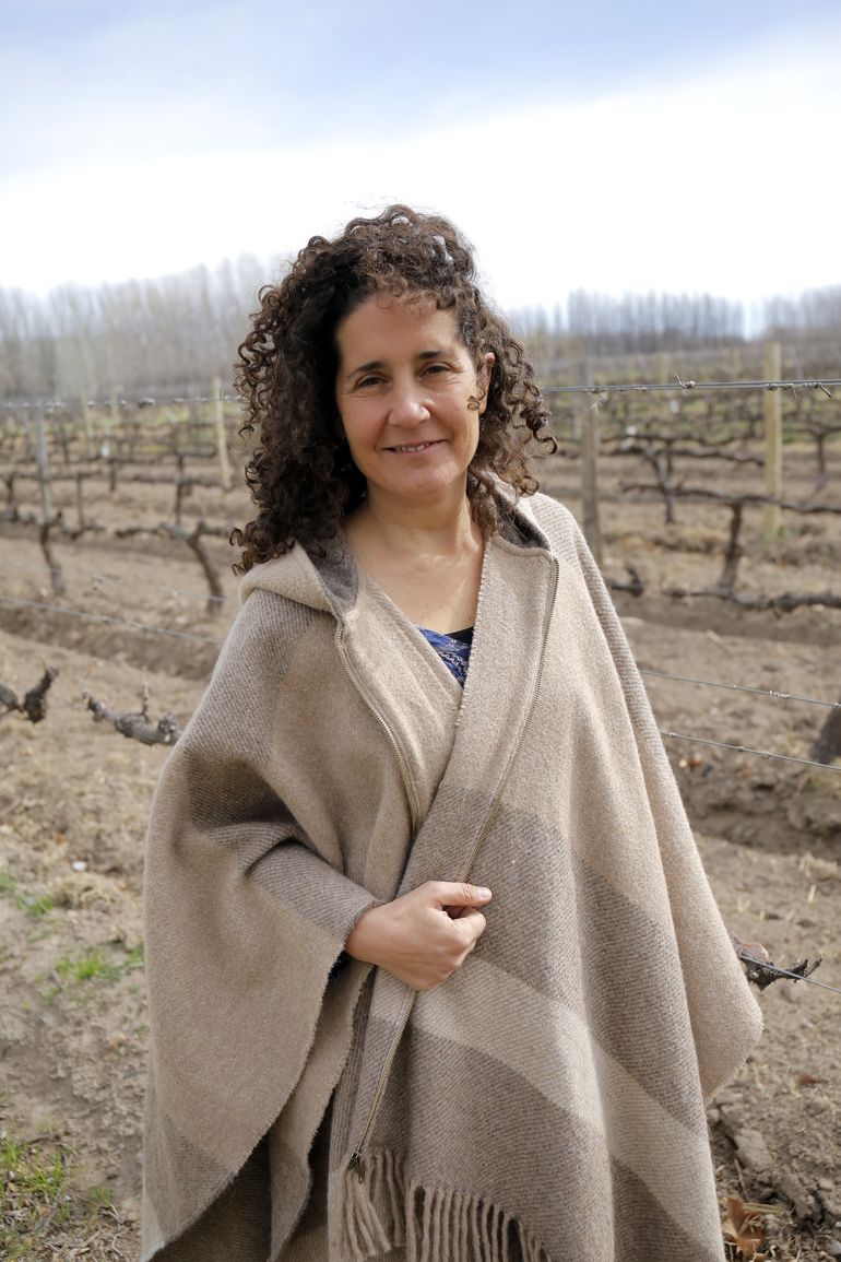 Ana Viola, presidenta de la Cámara de Bodegas Exportadoras de la Patagonia, se refirió a la utilización de otras empresas de la marca Patagonia.