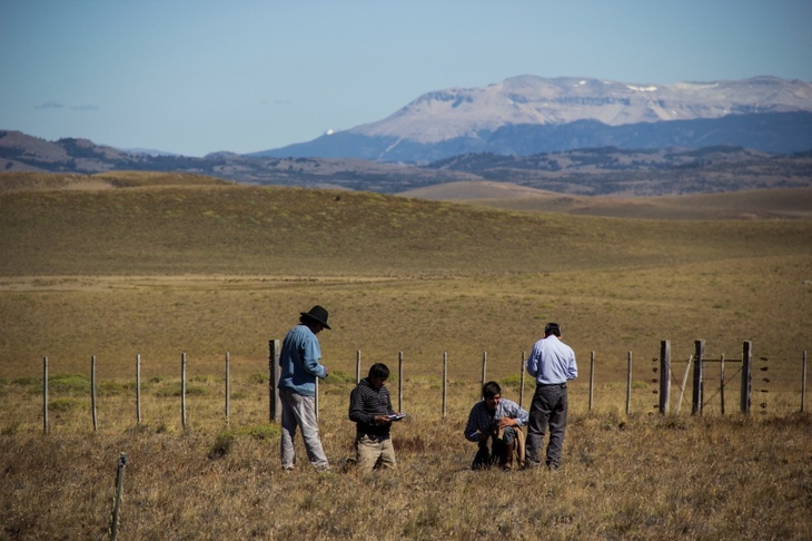 La adicionalidad asegura que el proyecto solo es viable con el aporte del bono de carbono. La adicionalidad asegura que el proyecto solo es viable con el aporte del bono de carbono.