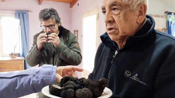 Destacan el potencial de Neuquén para la producción de trufa