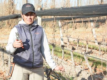 Romina Hernández, forjada en las chacras de Mainqué, brilla como campeona regional de poda de vid. Foto: gentileza Juan Thomes.