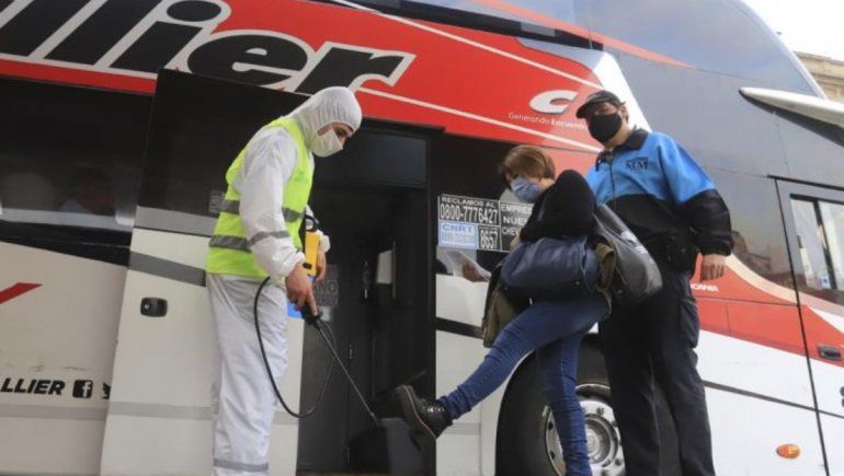 Así será viajar en micros de larga distancia en el verano. Foto: cortesía.