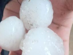 El tamaño más grande del granizo se pudo observar en ciertas mangas que cayeron entre Cipolletti y Allen. El tamaño más grande del granizo se pudo observar en ciertas mangas que cayeron entre Cipolletti y Allen.