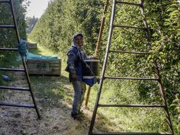 Finalizada la cosecha de frutas en todo el Valle, llega una ayuda clave para el productor. Finalizada la cosecha de frutas en todo el Valle, llega una ayuda clave para el productor.