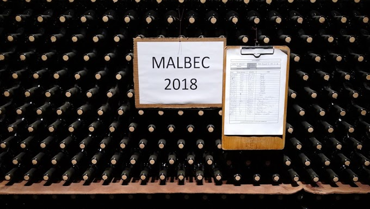Conocé las proezas del Malbec