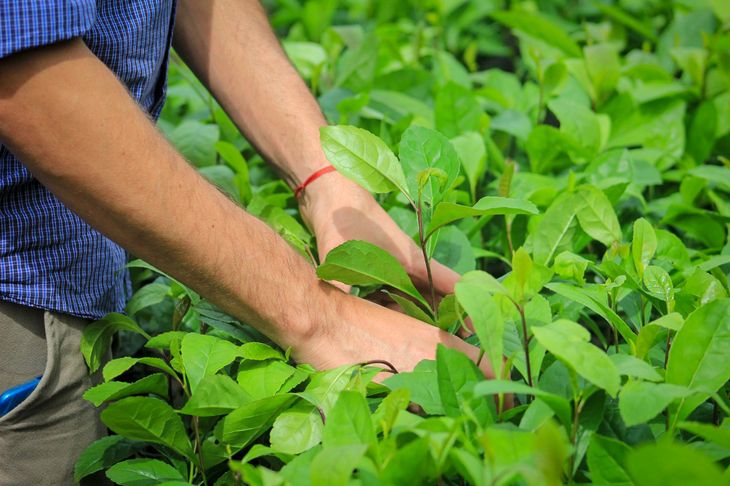 La prórroga busca fortalecer la actividad económica y el desarrollo productivo en Neuquén. La prórroga busca fortalecer la actividad económica y el desarrollo productivo en Neuquén.