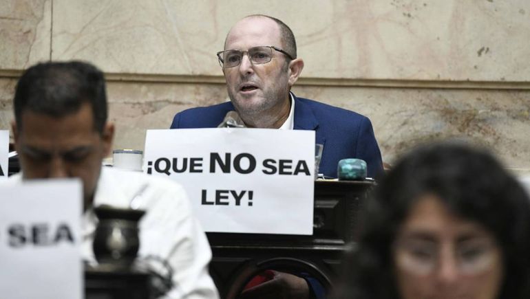 Pablo Todero durante su discurso en el Congreso. Pablo Todero durante su discurso en el Congreso.