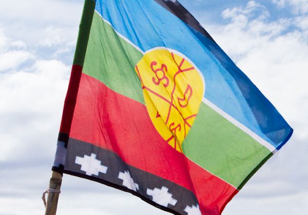 Sigue la polémica por la bandera mapuche