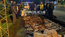 El frondoso cargamento de truchas que encontró la Policía El frondoso cargamento de truchas que encontró la Policía