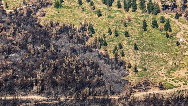 Las fotos que retrató Greenpeace en su sobrevuelo por Chubut.
