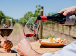 Pinot Noir encontró su punto en Patagonia Norte. Pinot Noir encontró su punto en Patagonia Norte.