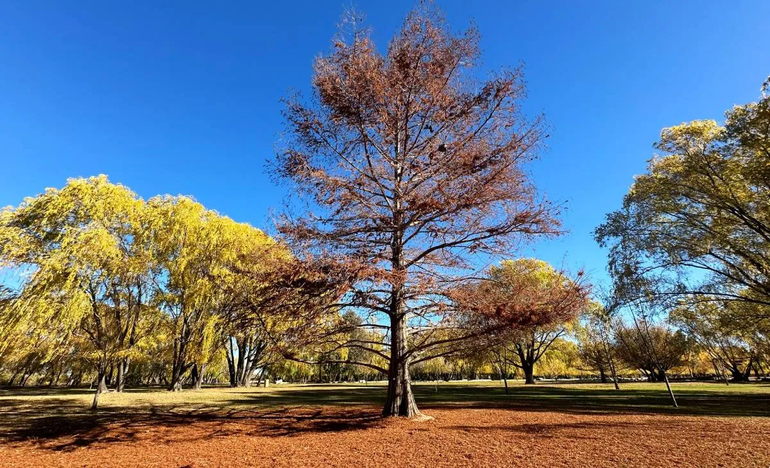 Una belleza. El pueblito que atrapó a Guido Rodríguez.