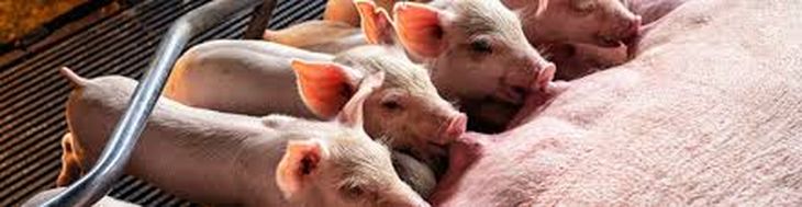 El escenario para lo que queda de 2025 abre un horizonte de optimismo, pero también de desafíos. El escenario para lo que queda de 2025 abre un horizonte de optimismo, pero también de desafíos.