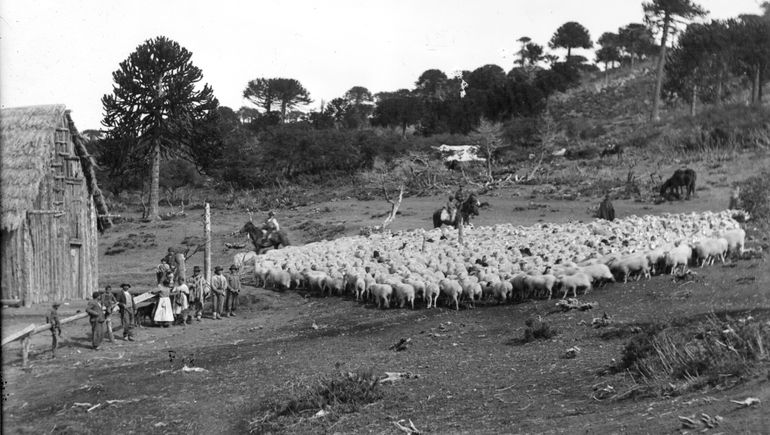 El rancho donde vivió la familia Fix durante seis años (Archivo de la familia Vitale)