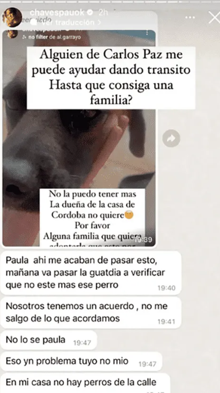 El tenso cruce de mansajes entre Paula y la dueña de la casa que alquila en Córdoba.