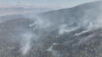 incendios forestales: diputado neuquino quiere declarar zona de desastre a la patagonia incendios forestales: diputado neuquino quiere declarar zona de desastre a la patagonia