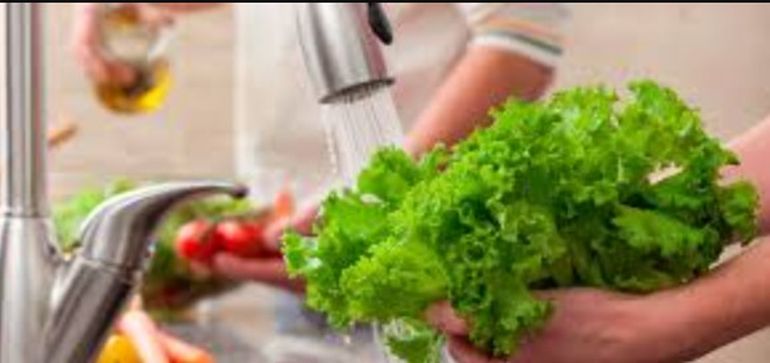 Sindrome Urémico Hemolítico en Chubut: remarcan la importancia de lavar frutas y verduras con agua y lavandina. Sindrome Urémico Hemolítico en Chubut: remarcan la importancia de lavar frutas y verduras con agua y lavandina.