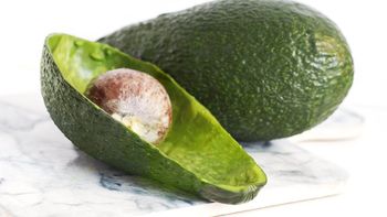 La cáscara de palta se transforma en un preparado natural que nutre y protege las plantas del jardín. La cáscara de palta se transforma en un preparado natural que nutre y protege las plantas del jardín.