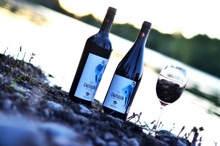 Calfulén, querido personaje de raíces Mapuches, que vivió en La Esmeralda con nosotros. Maestro en el arte del campo, este vino que honra su memoria. Calfulén, querido personaje de raíces Mapuches, que vivió en La Esmeralda con nosotros. Maestro en el arte del campo, este vino que honra su memoria.