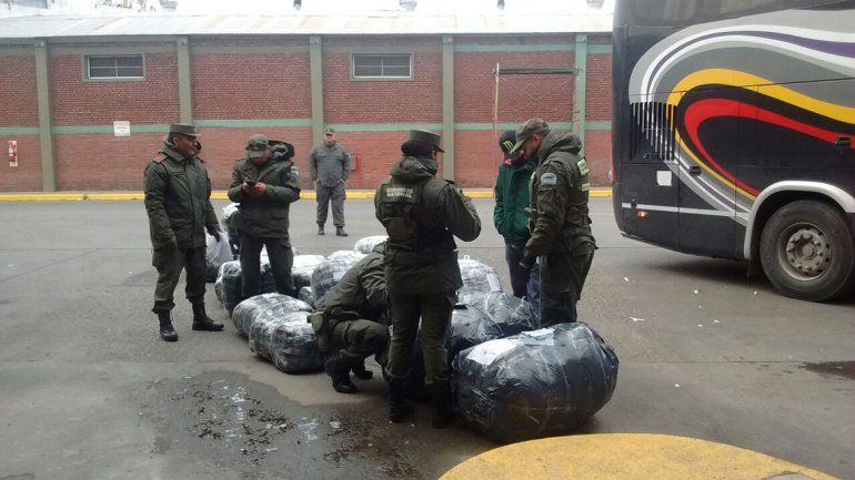 Secuestraron 20 bolsones sospechosos en la terminal de Cipolletti