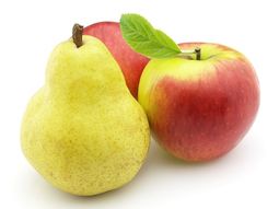 La temporada finalizó con una menor cosecha efectiva de peras y manzanas en el Valle. La temporada finalizó con una menor cosecha efectiva de peras y manzanas en el Valle.