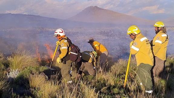 Sigue el combate del fuego en Neuquén: Jamás habíamos tenido 35 focos