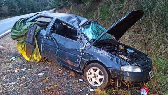 Volcó cuando circulaba por Ruta 40 y se le cruzaron dos jabalíes